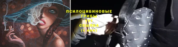 первитин Осинники