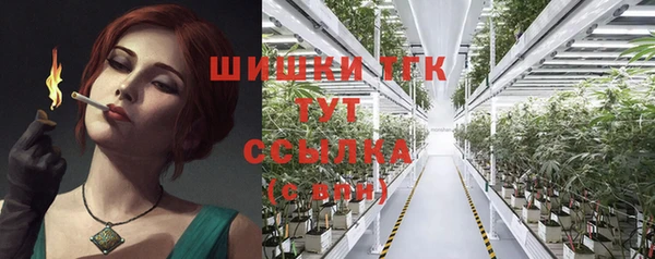 первитин Осинники