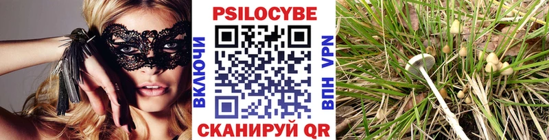 Псилоцибиновые грибы MAGIC MUSHROOMS  Светлогорск 