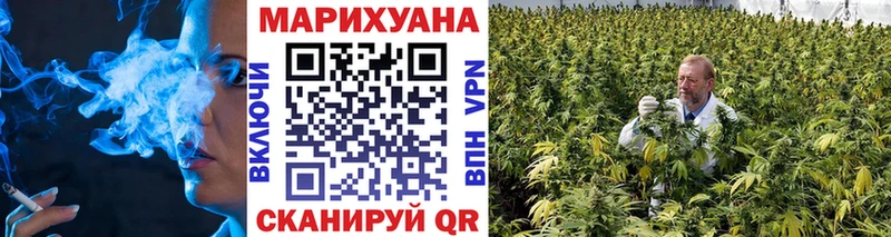 МАРИХУАНА сатива Светлогорск